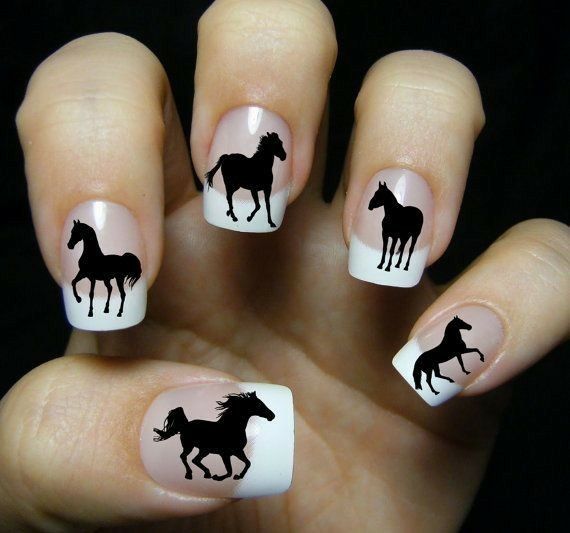 Wild Horse Silhouettes