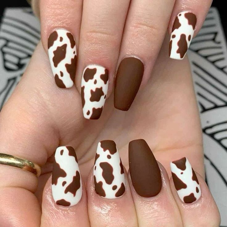 Cow Print Fun