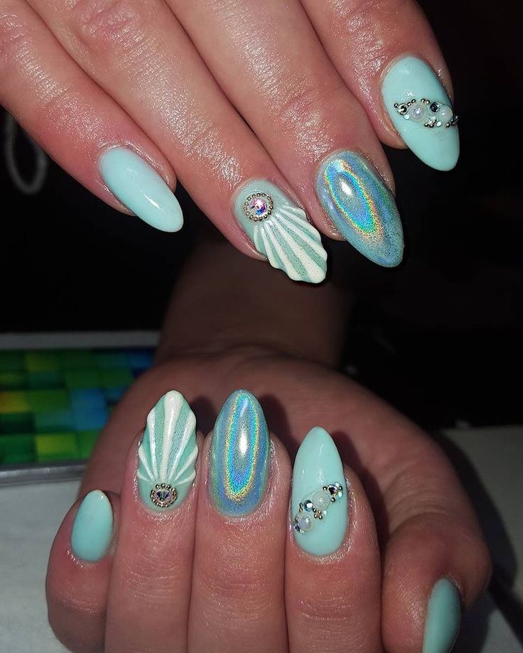Holographic Shell Art